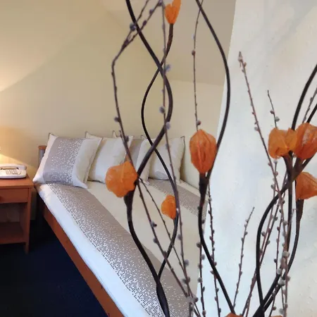 Hotel Alfa