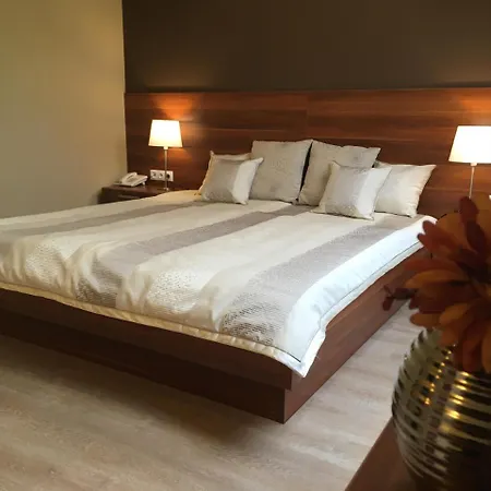 Hotel Alfa 3*